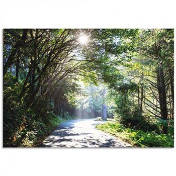 Wandbild ARTLAND „Sonniger Wald“, grün, Alubild, für Innen