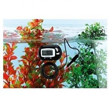 AquaHeat Digital Gauge