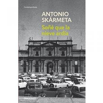 Soñé que la nieve ardía