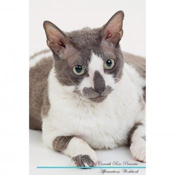 Cornish Rex Affirmations Workbook Cornish Rex Presents: Positive and Loving Affirmations Workbook. Includes: Mentoring Questions, Guidance, Supporting You.