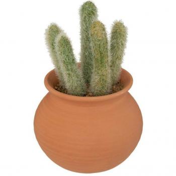 Terracotta cactus Alicante 16,5 cm – Atmosphera