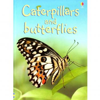 Caterpillars and Butterflies (Beginners), Stephanie Turnbull, Book