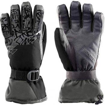 Gants de ski homme noir Gap.STX par Zanier 10