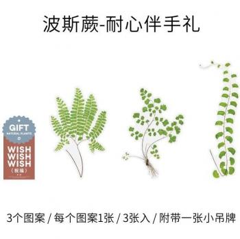 Large Floral Wall Stickers for Children's Rooms