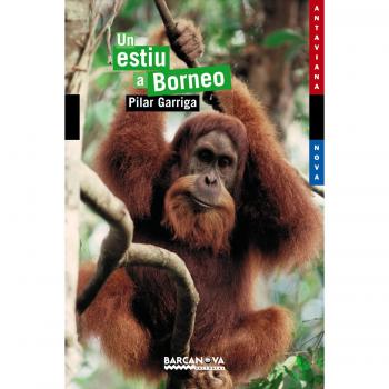 UN ESTIU A BORNEO