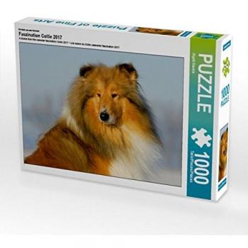CALVENDO Collie Foto‑Puzzle 2017, 1000 Stück, 64×48 cm