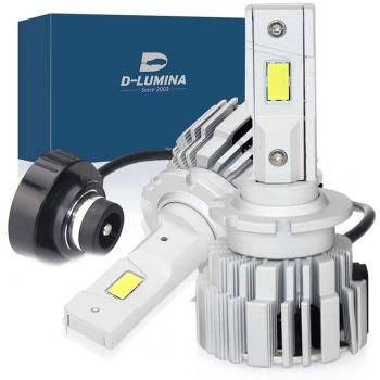 Lampade LED Auto D2S D2R 6000K