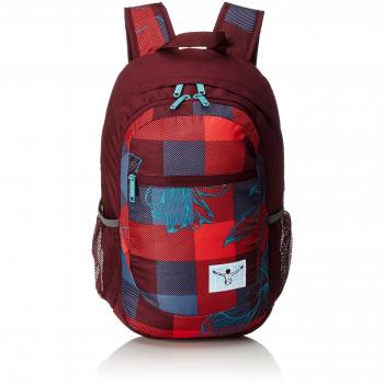 Chiemsee Unisex Techpack Two Rucksack, 16x48x32 cm, Mehrfarbig