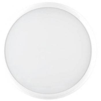 17W LED Ceiling and Wall Lamp