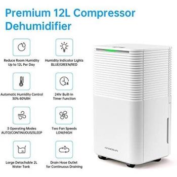 Hangsun 12L Digital Dehumidifier