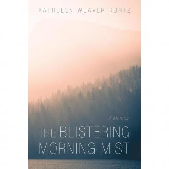 Vitalsource Technologies, Inc. The Blistering Morning Mist
