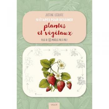 10 étapes pour dessiner plantes et végétaux