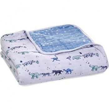 Aden and Anais Classic Printed Blanket