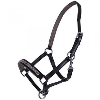 Leder-Fohlenhalfter QHP Lupine