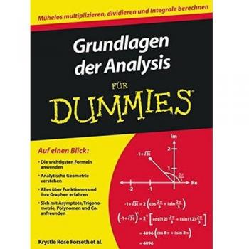 Grundlagen der Analysis für Dummies