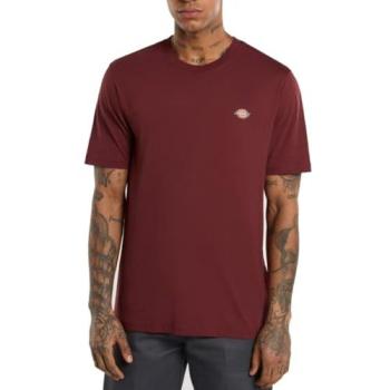 T‑shirt Dickies Mapleton SS Tee – Bianco