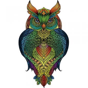 Puzzle en Bois Rainbow Hibou
