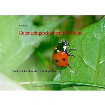 Gutenachtgeschichten für Kleine