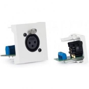 Module de connexion XLR Femelle Fonestar