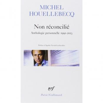 Non réconcilié: Anthologie personnelle 1991-2013