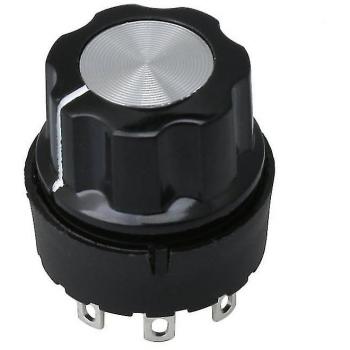 Control giratorio selector 4 posiciones, perilla mezcladora Exprimidor WS5611