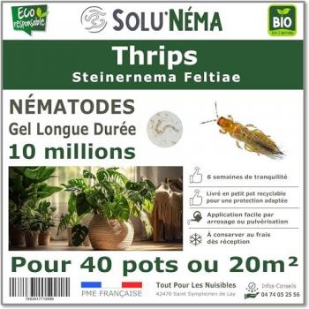 Nématodes Solunema
