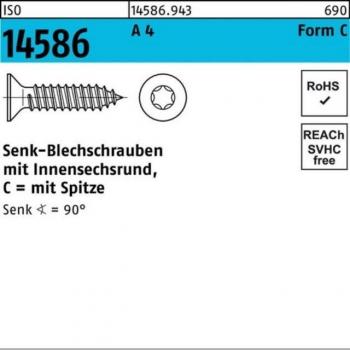 Senkblechschraube mit Innensechsrund 4,8 x 100 mm
