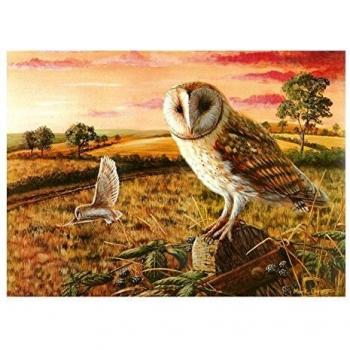 Owl Glass Worktop Protector