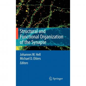 Springer-Verlag New York Structural and Functional Organization of the Synapse