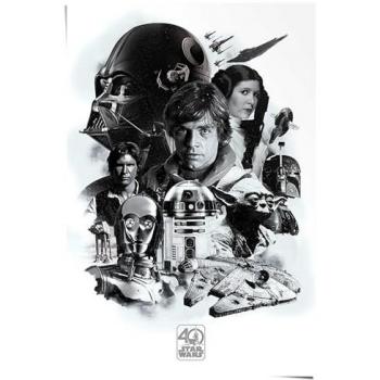 Reinders! Poster Star Wars 40 Jahre