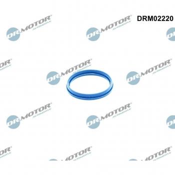 Dr. Motor Automotive Intake Gasket DRM02220