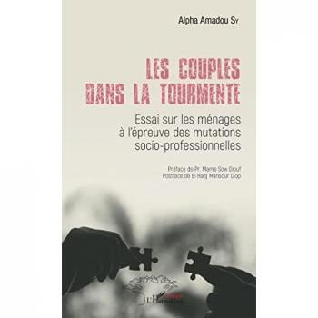Les couples dans la tourmente: Essai sur les ménages à l'épreuve des mutations socio-professionneles