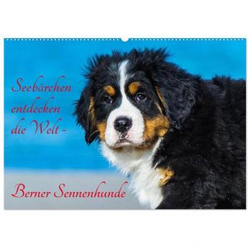 Seebärchen entdecken die Welt