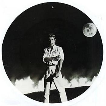 The Who Roger Daltrey after the Fire Picture LP NM