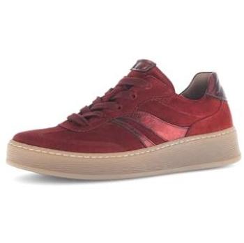 Damasco Suede Female Trainer by Gabor Dahma, Size 2.5