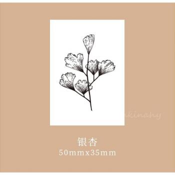 Montagne & Plantes Scrapbook