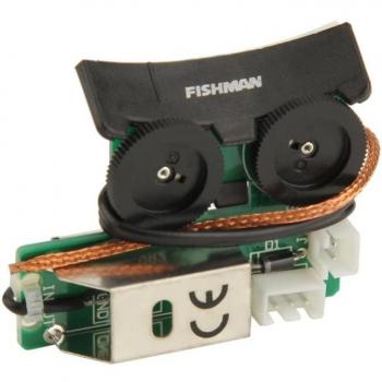 Fishman VT1 queue clou ramassage EQ pour guitare acoustique