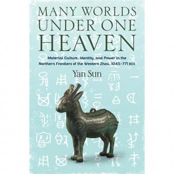 Vitalsource Technologies, Inc. Many Worlds Under One Heaven