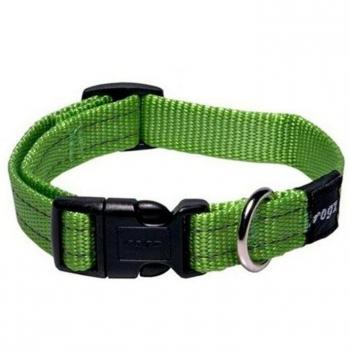 Collare per cane in nylon verde taglia L affare imperdibile