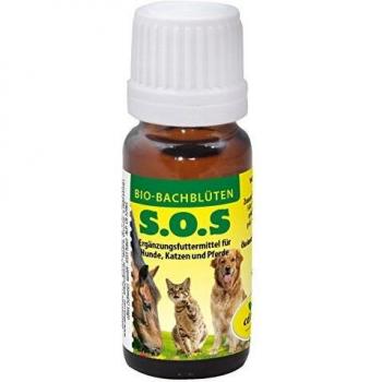Bachblüten S.O.S. für Hunde und Katzen