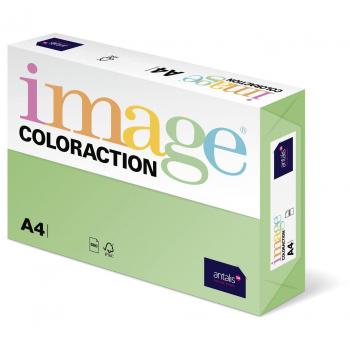 Kopipapier “Forest” Grün, 120 g/m², A4 – 250 Stück (Image Coloraction)