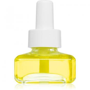 Ipuro Essentials Zedernholz Duftfüllung 20 ml