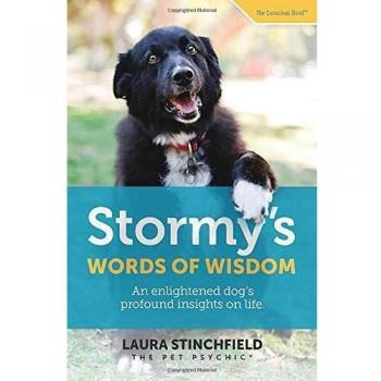 Stormy's Words of Wisdom: An enlightened dog's profound insights on life