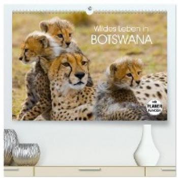 Premium Wandkalender 2024 Wildes Leben in Botswana
