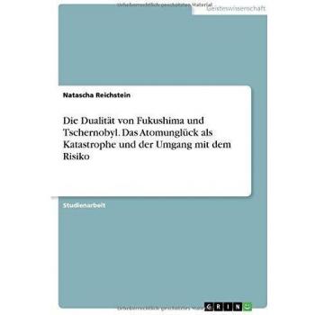 Die Dualität von Fukushima und Tschernobyl. Das Atomunglück als Katastrophe und der Umgang mit dem Risiko