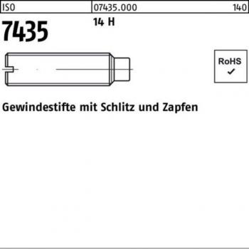 DIN 417 Gewindestift M8x30 14 H 100 Stück