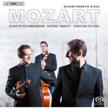 Divertimento K563 di Wolfgang Amadeus Mozart
