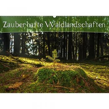 Zauberhafte Waldlandschaften