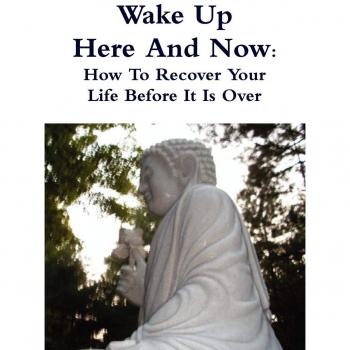 Wake Up Here And Now: How To Recover Your Life Before It Is Over