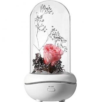 Clheatky Aromatherapie Rose im Acrylglas mit Geschenkverpackung